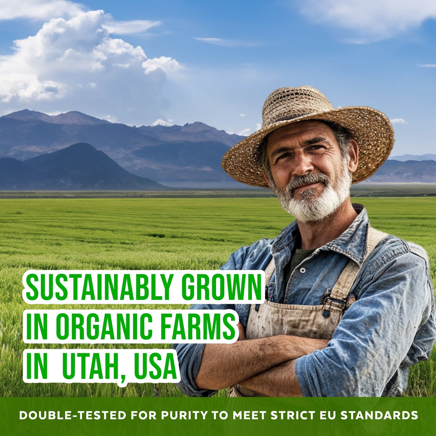 Organic Barley Grass Juice Powder