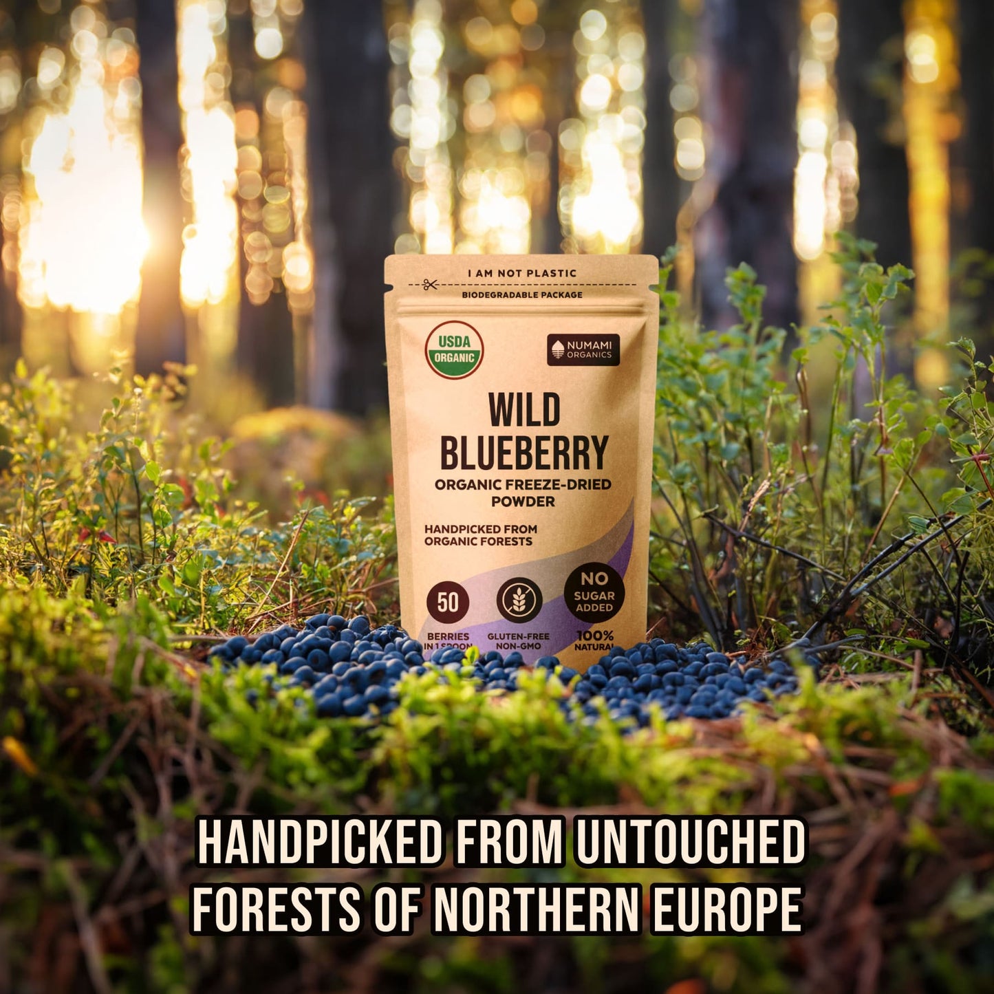 Organic Wild Blueberry Powder