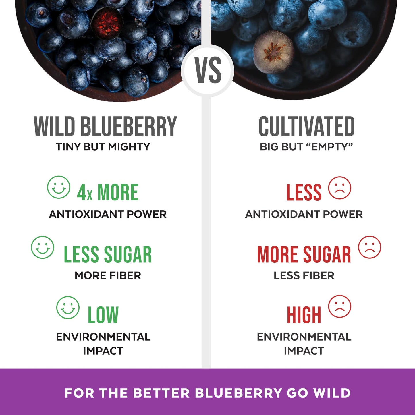 Organic Wild Blueberry Powder