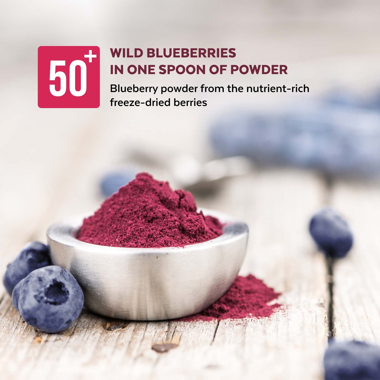 Organic Wild Blueberry Powder