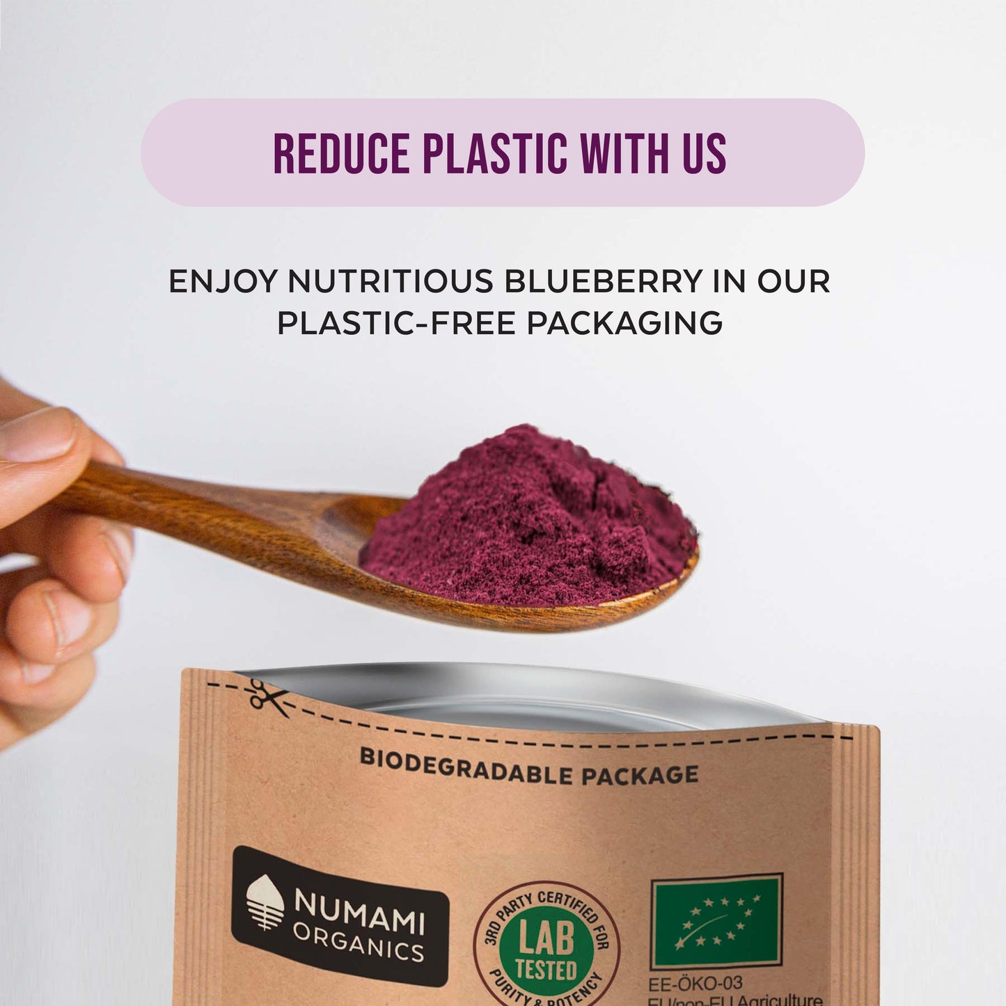 Organic Wild Blueberry Powder