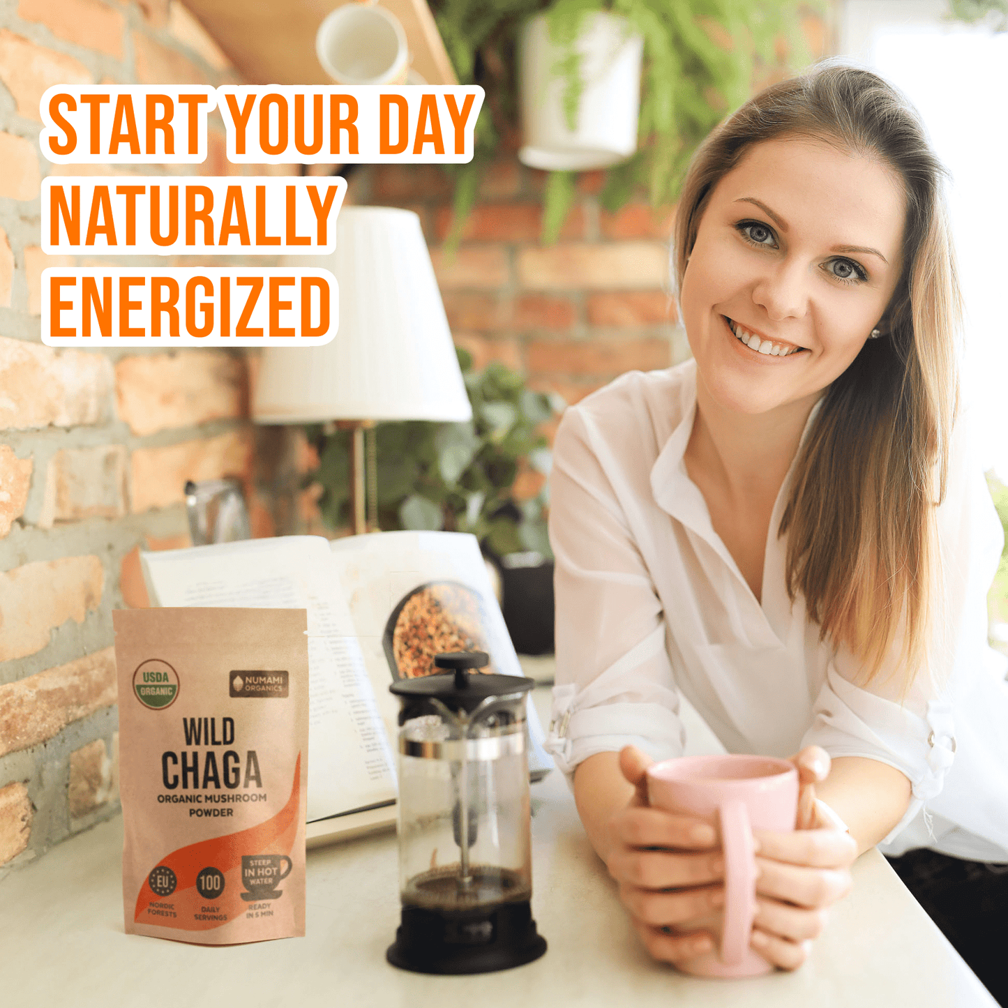 Organic Chaga Mushroom Powder