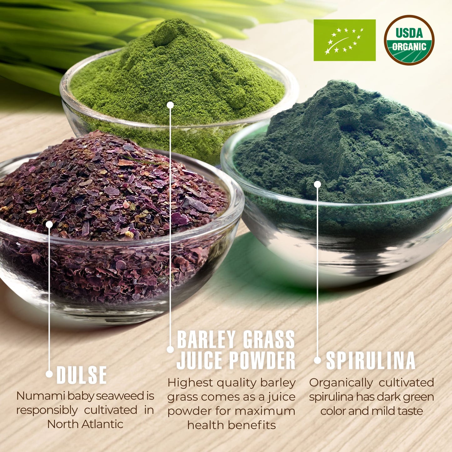Organic Heavy Metal Detox Smoothie Mix