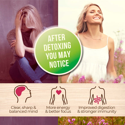 Organic Heavy Metal Detox Smoothie Mix